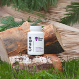 Chaga Mushroom Capsules