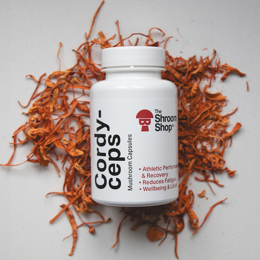 Cordyceps Mushroom Capsules