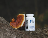 Reishi Mushroom Capsules