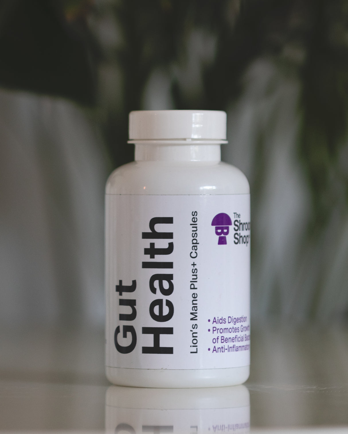 Gut Health: Lion's Mane & Turkey Tail+ Capsules